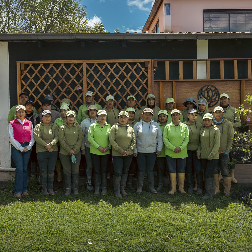 Illusion Group team members in the field